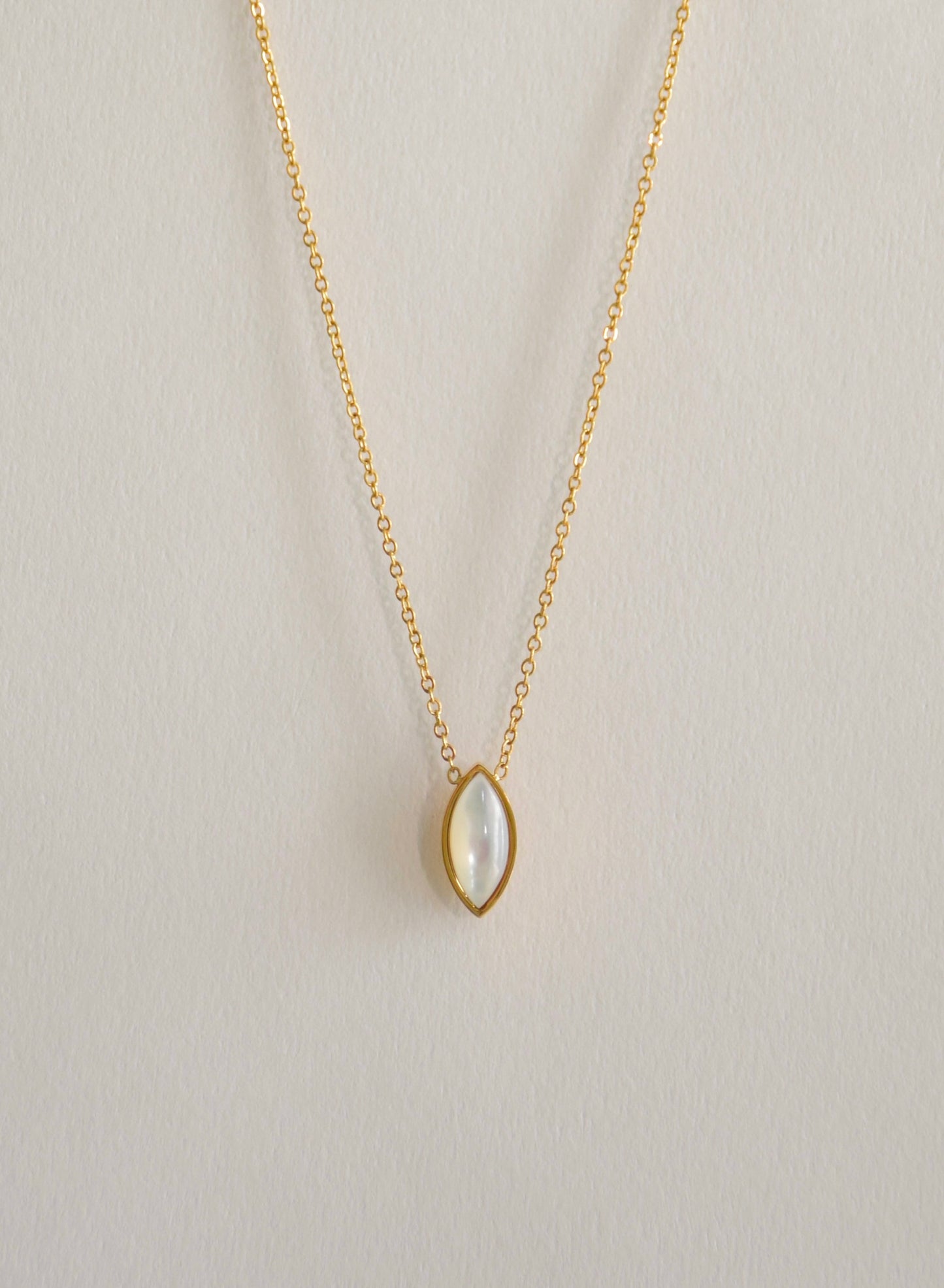 Horse eye shell pendant necklace