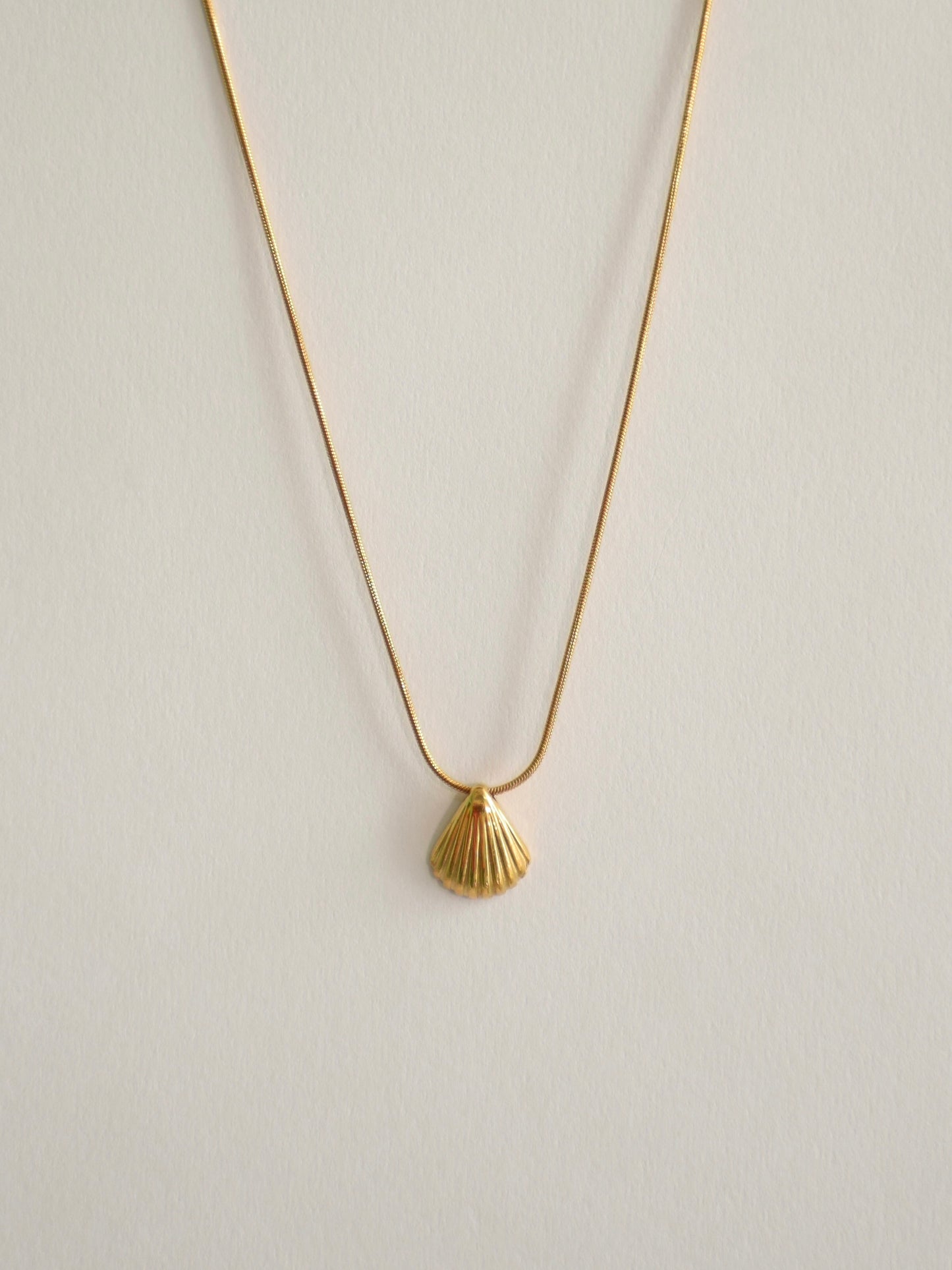 Shell Pendant Necklace