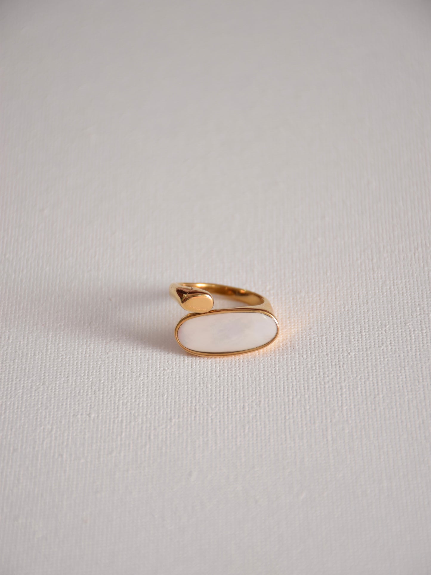 Oval shell ring